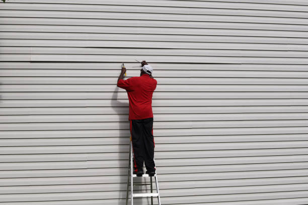 Affordable siding repair and maintenance services in Bartlett, IL